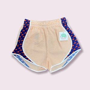 NWT💥 Lauren James Virginia Seersucker Shorts